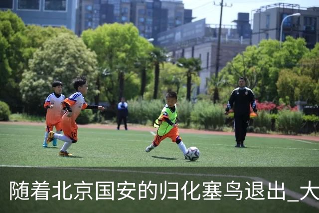 随着北京国安的归化塞鸟退出 大名单就剩下海港一个归化 而今年并没有新归化